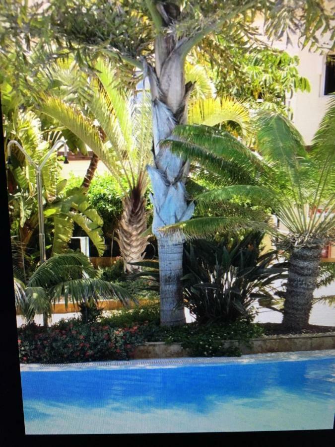 El Sultan 4 Villa คอร์ราเลโฮ ภายนอก รูปภาพ